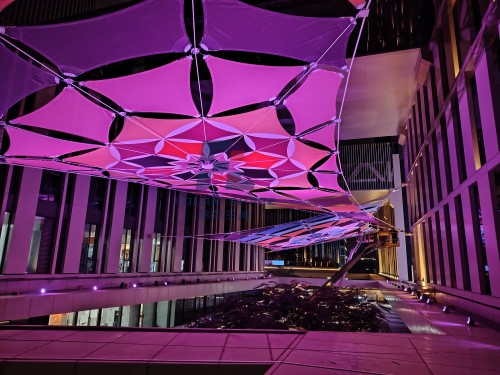 歲末收官，以膜為花 | 我們用 86 片膜材，在城市上空 “種” 出了兩朵會(huì)發(fā)光的索膜之花